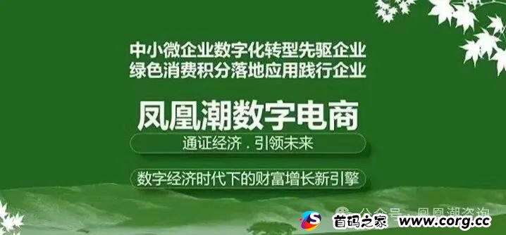 深度解析凤凰潮APP平台，卷轴资金盘，注意警惕