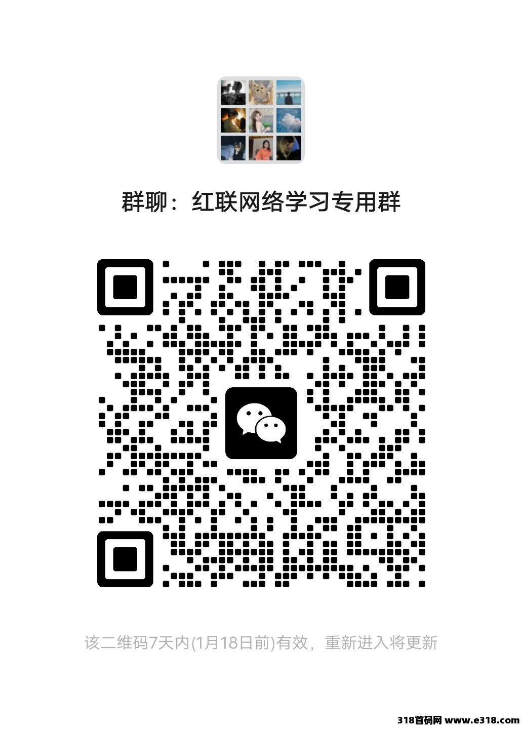 红联网络首码，每天领红包