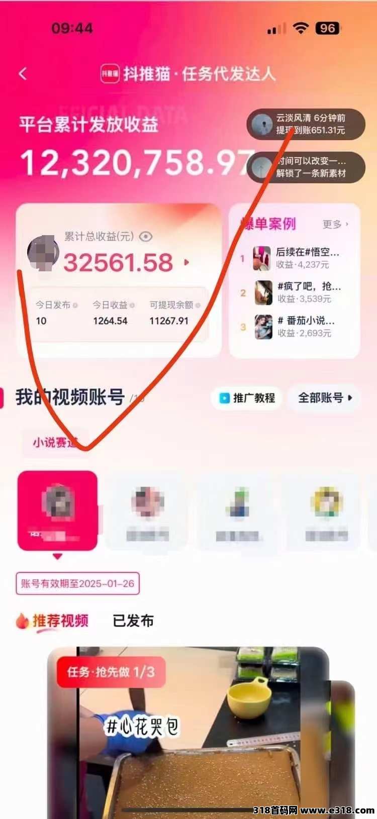 抖推猫，2025新风口，代发达人招募优质团队长！