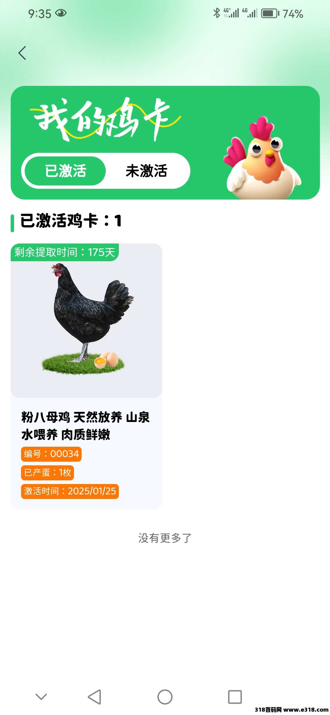 首码食小宝养鸡刚上线，赶紧占位