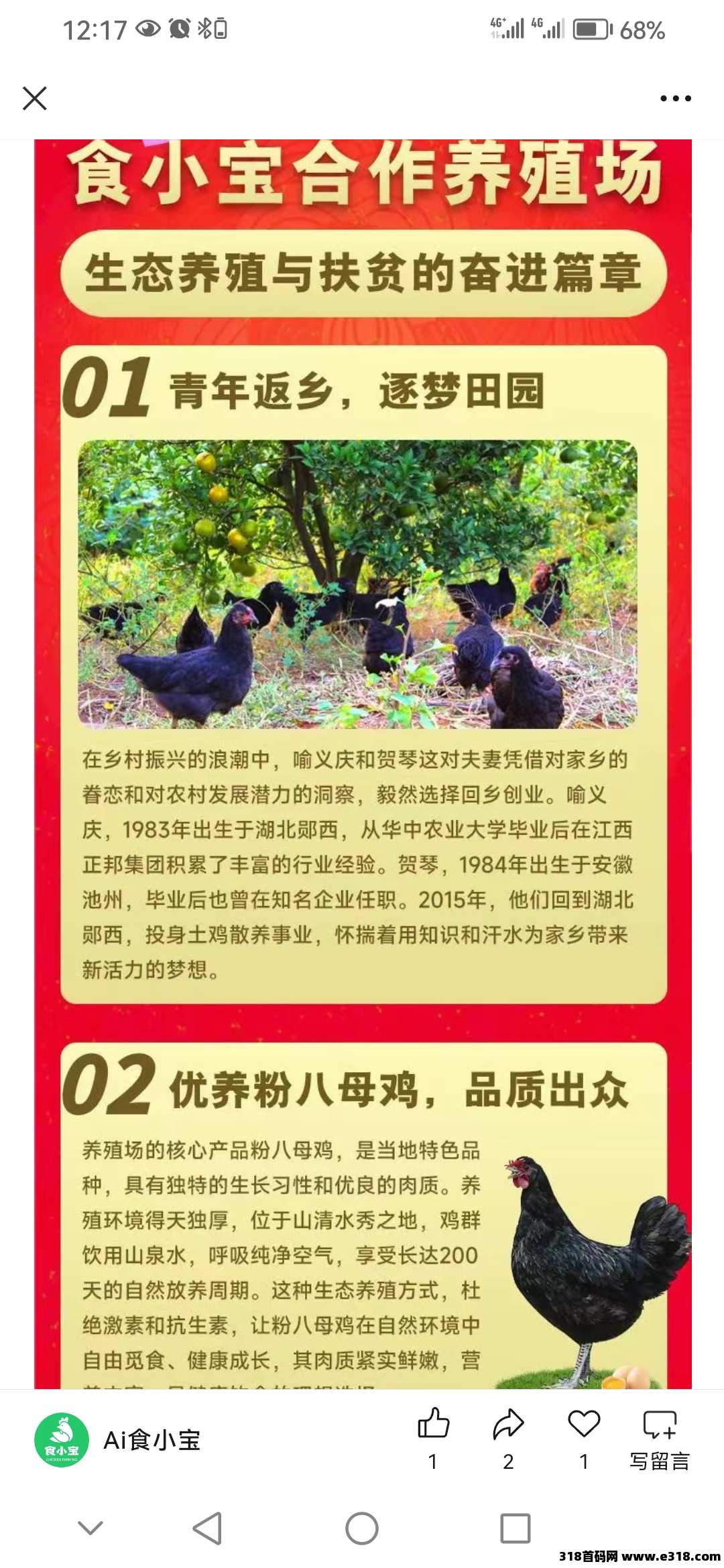 首码食小宝养鸡刚上线，赶紧占位