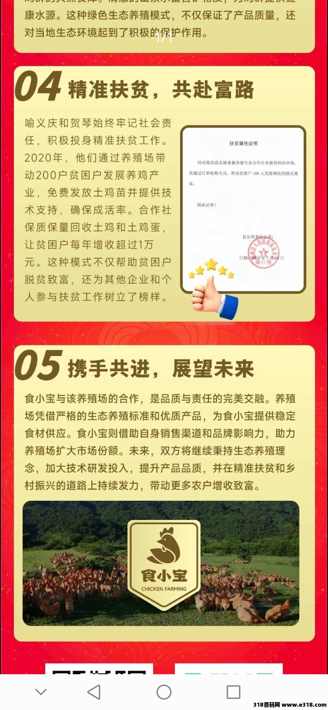 首码食小宝养鸡赚钱刚上线对接大小团长