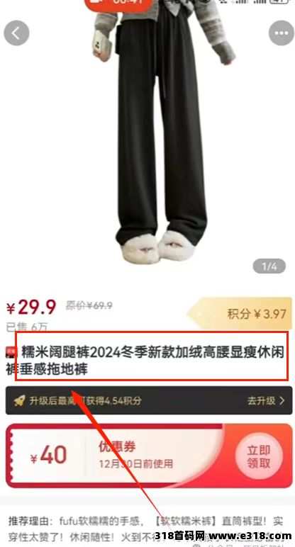 嘟赞首码全新赛道，利用二手平台赚两边差价佣金，会网购就能挣米