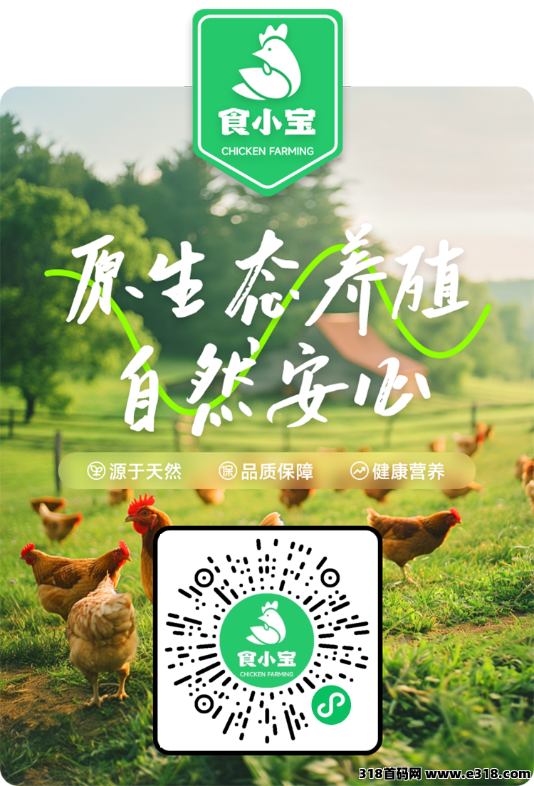 首码食小宝养鸡刚上线
