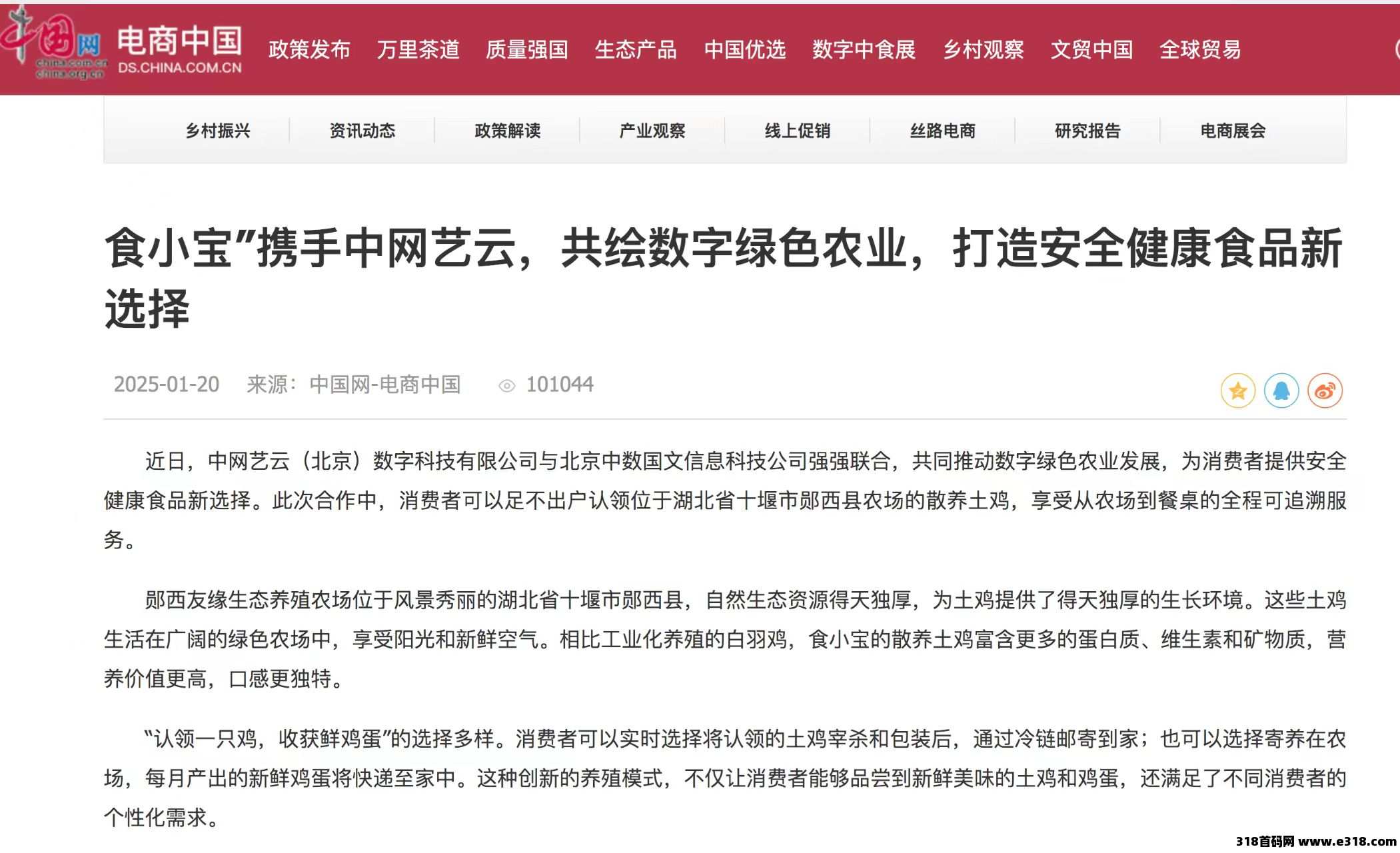 首码食小宝养鸡刚上线