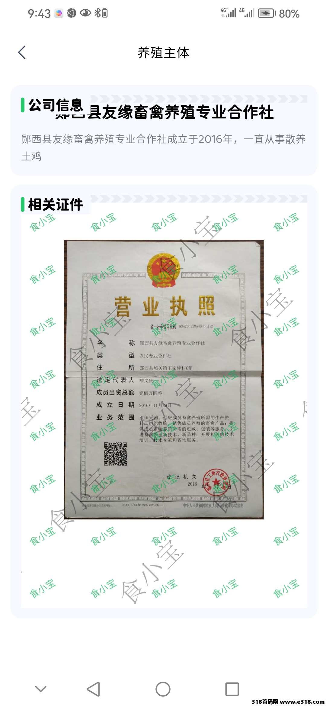 首码食小宝养鸡刚上线