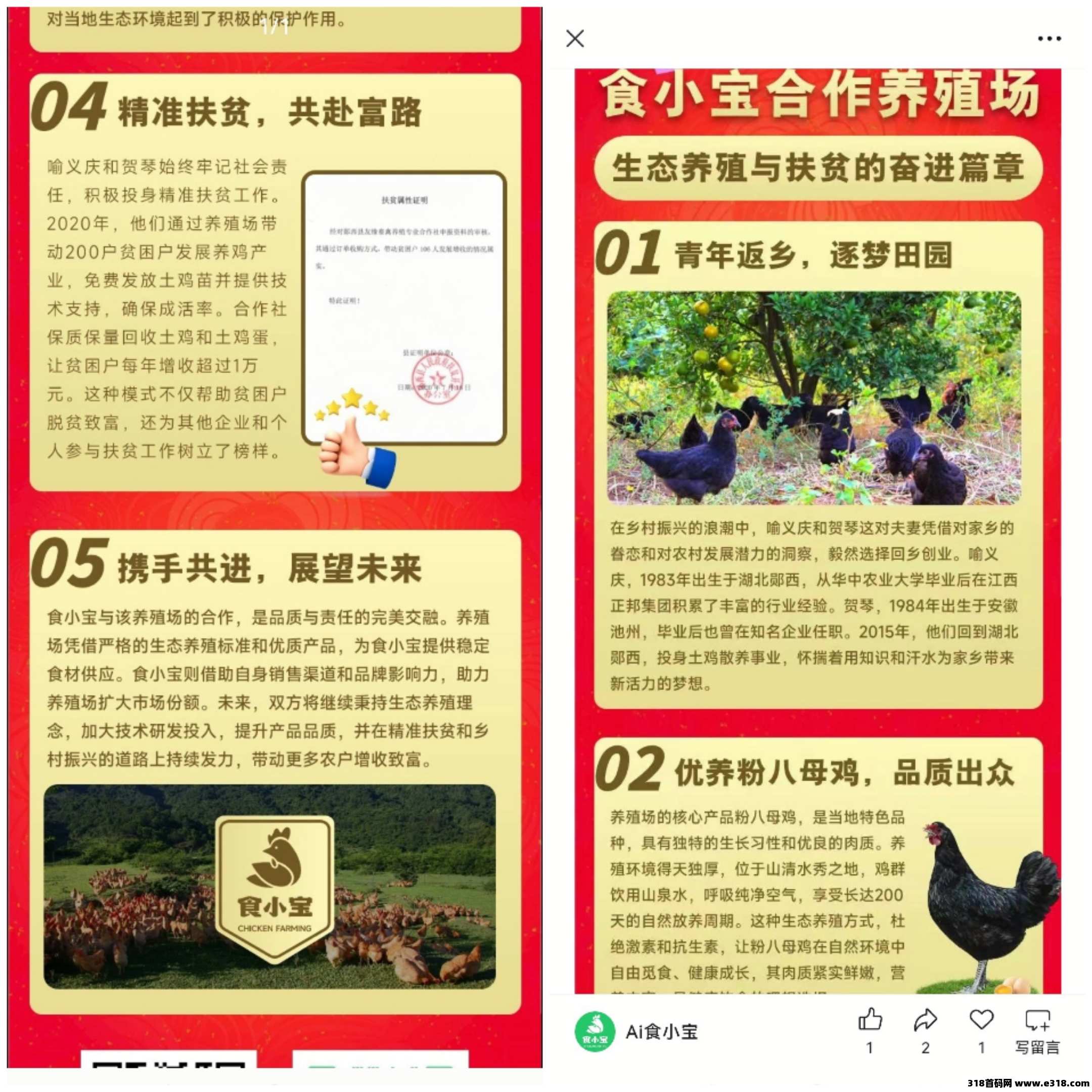 首码食小宝养鸡刚上线