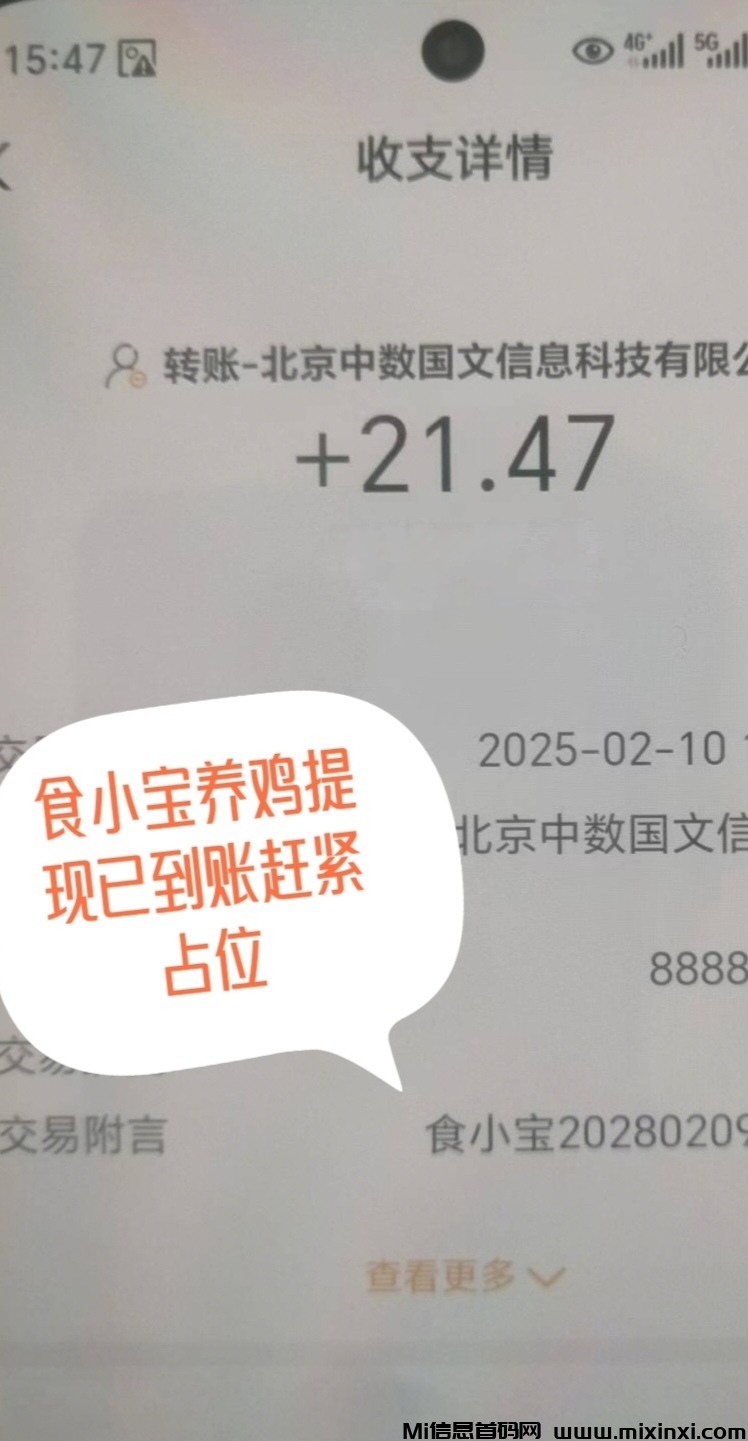 首码食小宝养鸡赚钱刚刚上线对接大小团长