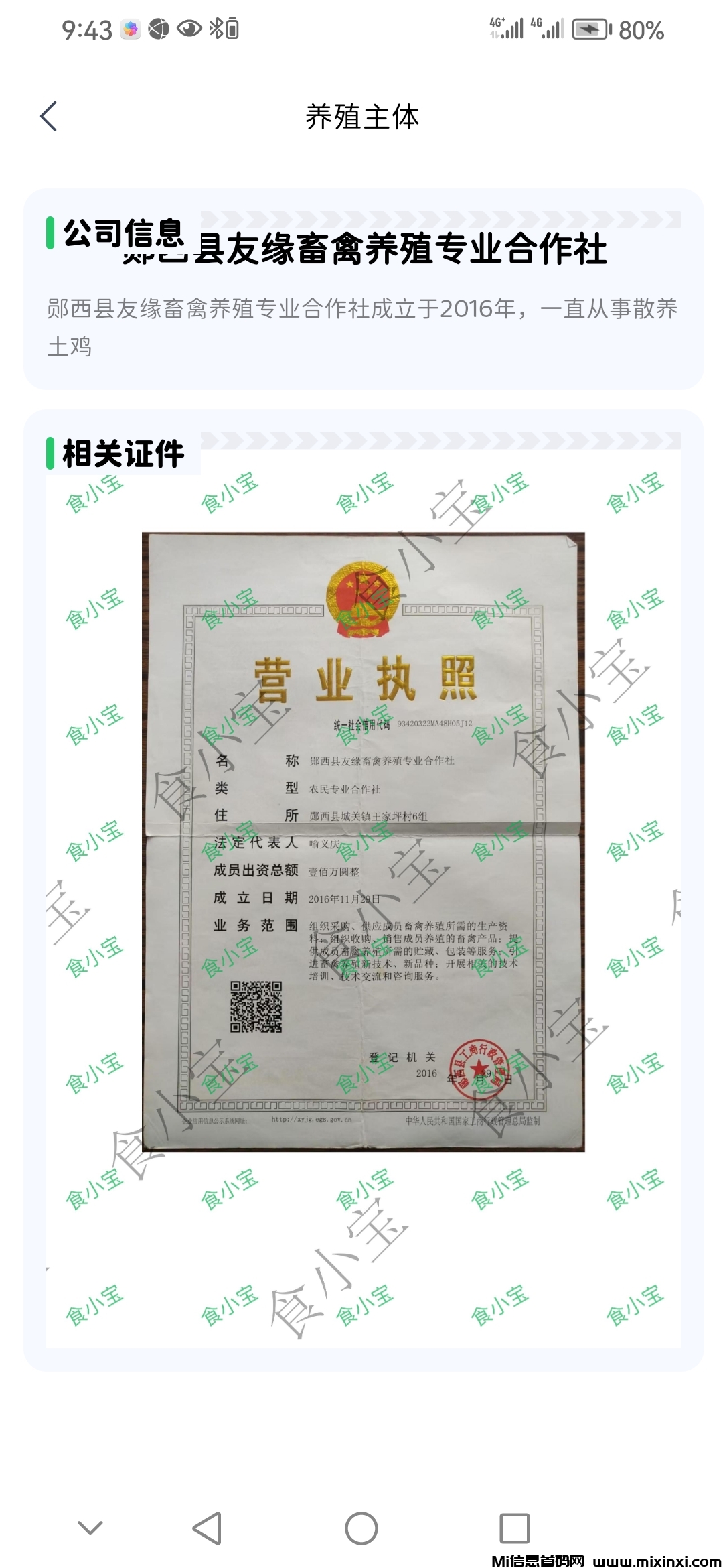 首码食小宝养鸡赚钱刚刚上线对接大小团长