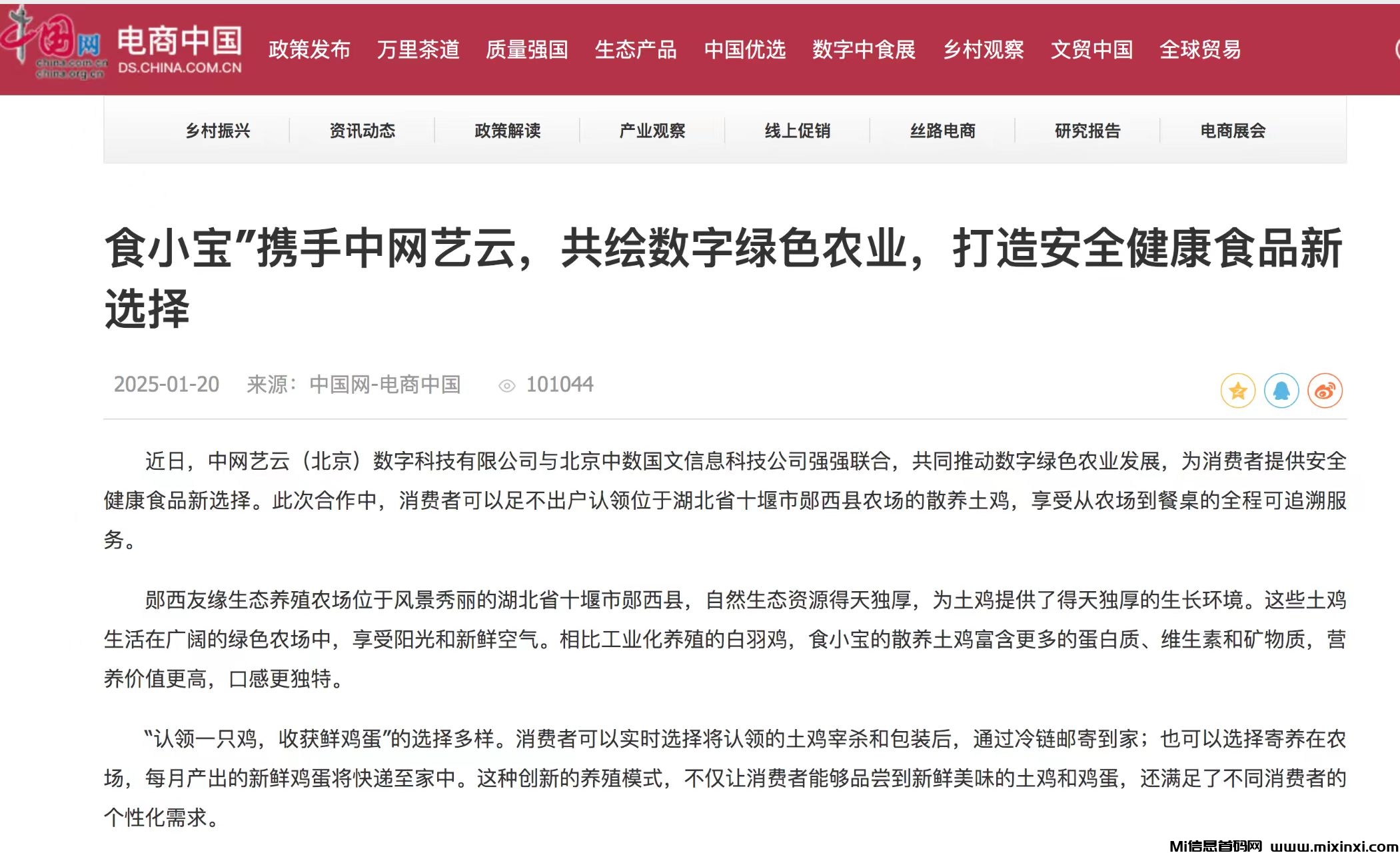 首码食小宝养鸡赚钱刚刚上线对接大小团长