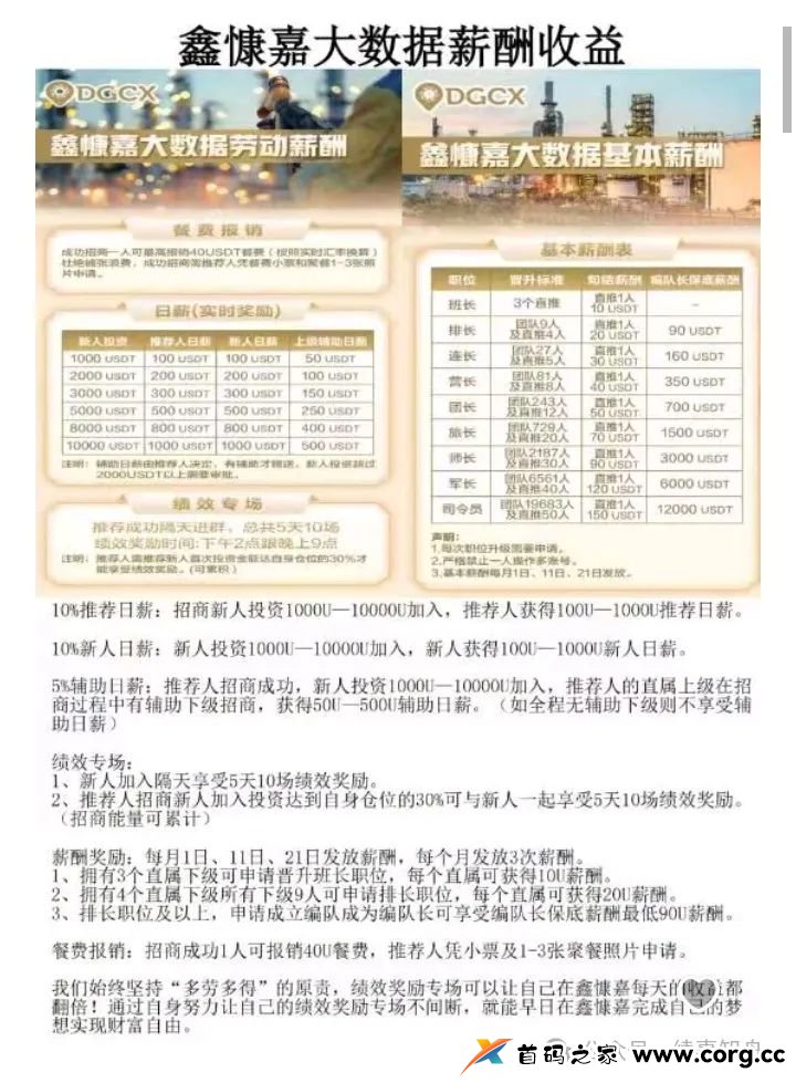 警惕！（烨言，套牌慈联，DGCX鑫慷嘉大数据...）这几个热门的资金盘，你有参与吗？