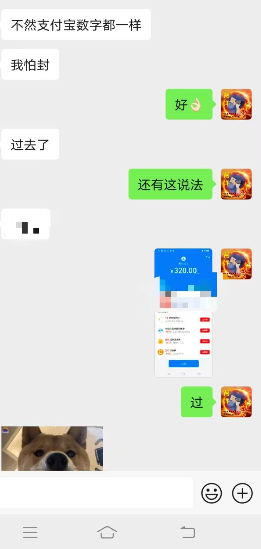 星途71天，，收米6000+，关键全免费