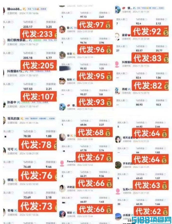 抖推猫：轻松代发视频，日入过千，零撸赚米新体验