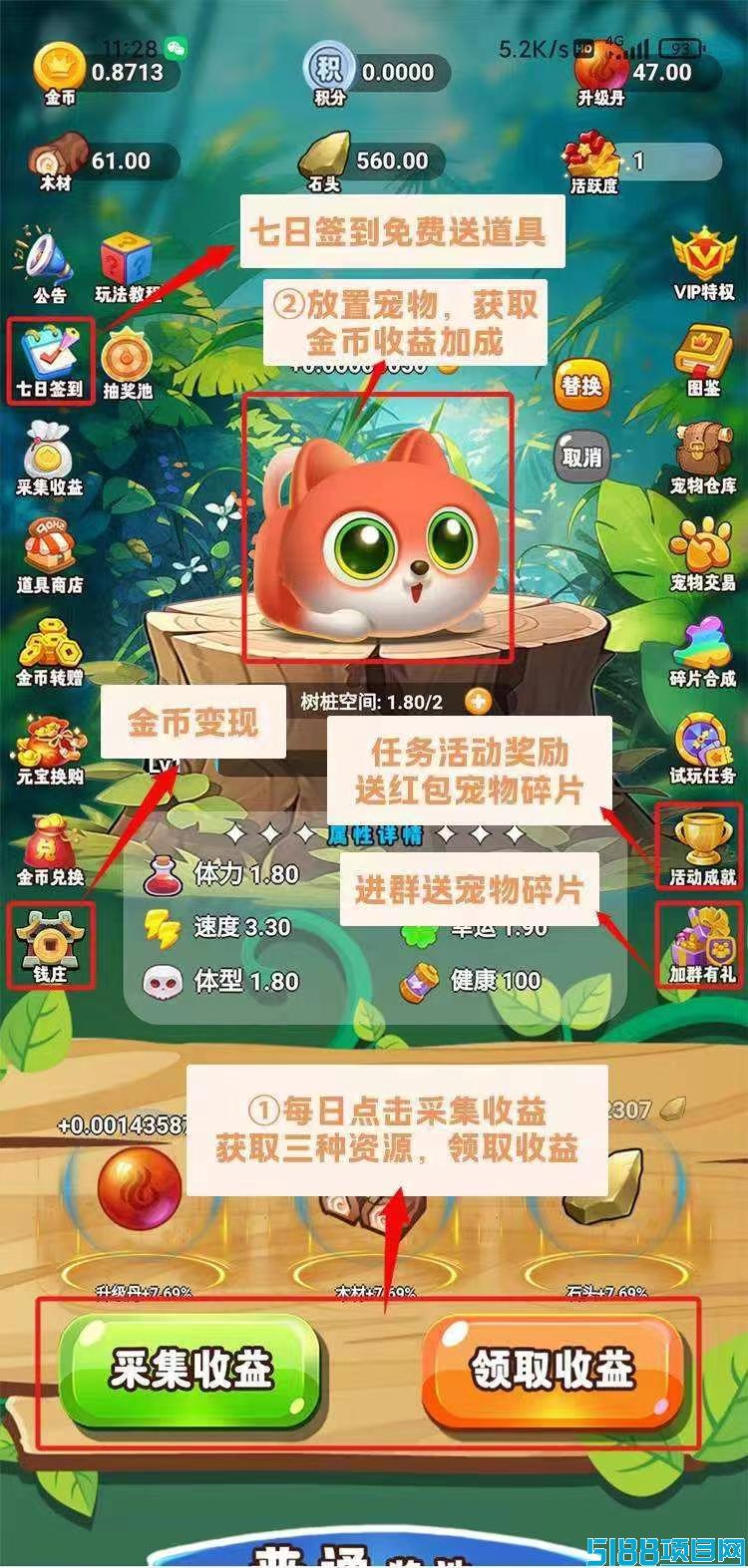 宠物之家官方兜底回收猫咪靠谱吗?高级猫还有分红真的吗