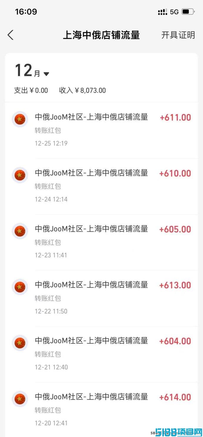 2025年流量致富：JOOM中俄跨境电商挂机玩法全面解析