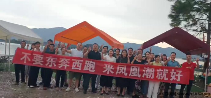 凤凰潮快赚，四种方式轻松赚取丰厚收溢！