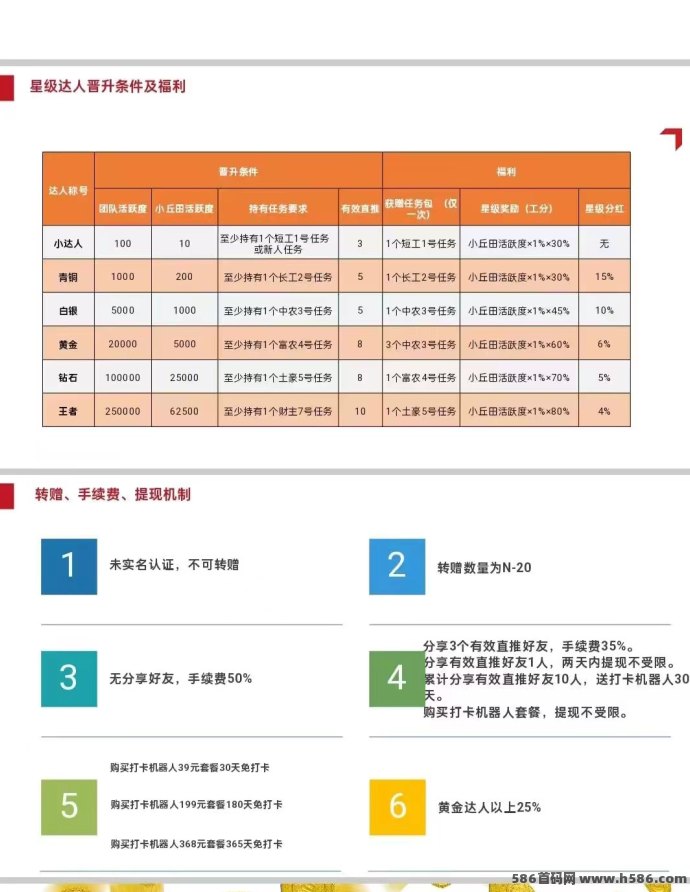 凤凰潮快赚，四种方式轻松赚取丰厚收溢！