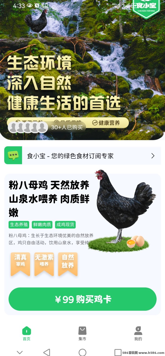食小宝首码上线：养鸡赚钱新模式，快速对接大小团队长！