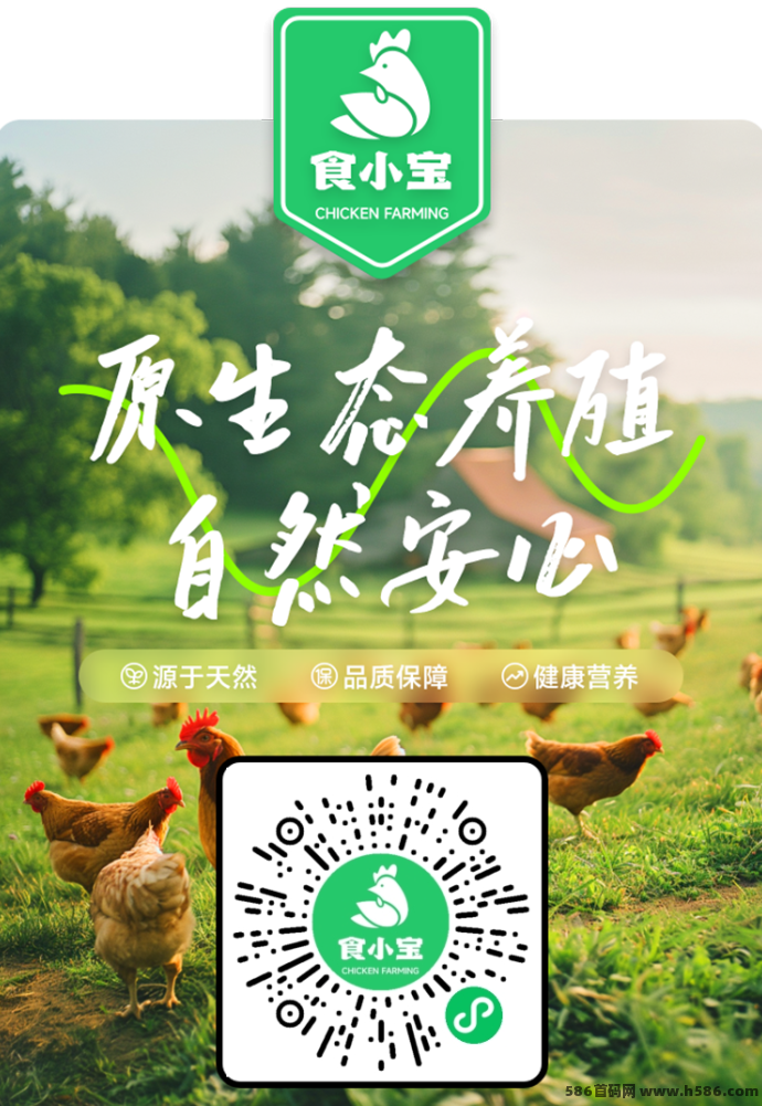 食小宝首码上线：养鸡赚钱新模式，快速对接大小团队长！
