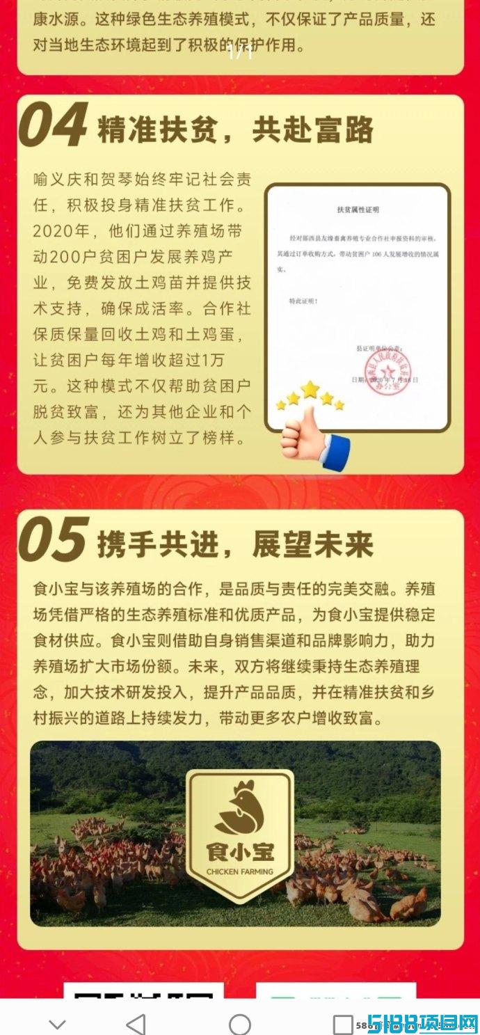 首码食小宝养鸡项目上线：轻松养鸡赚钱，团队合作共赢！