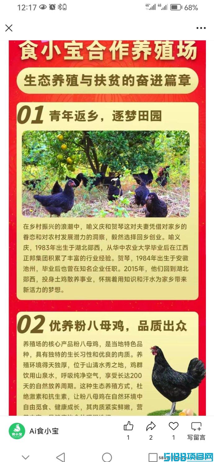 首码食小宝养鸡项目上线：轻松养鸡赚钱，团队合作共赢！