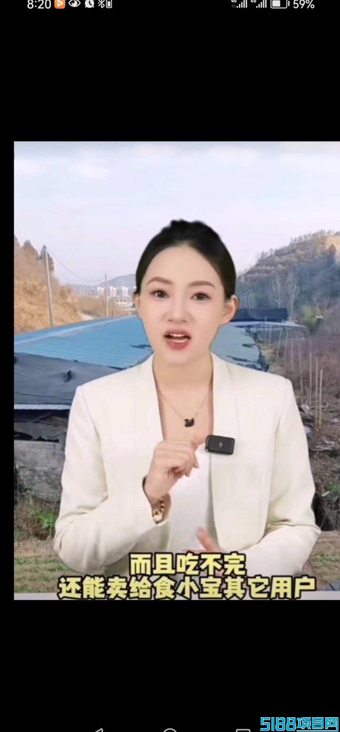 2025最新养鸡赚钱玩法，全新模式助你开启稳定副业！