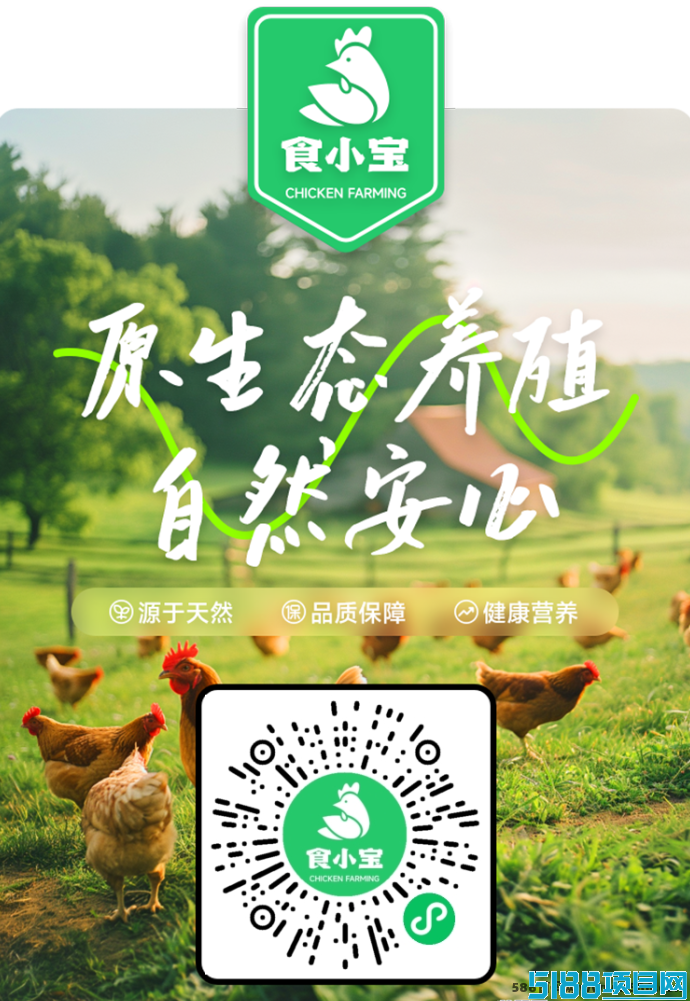 2025最新养鸡赚钱玩法，全新模式助你开启稳定副业！