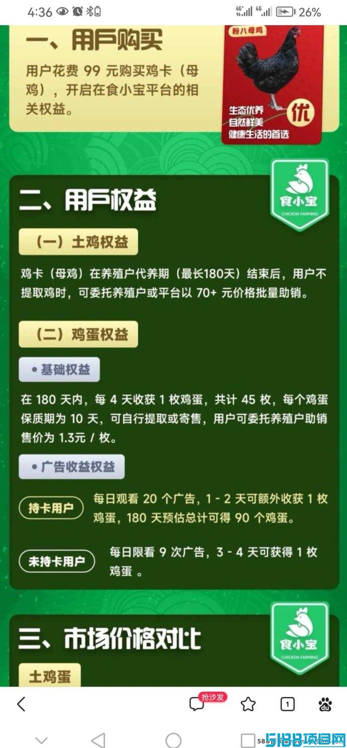 2025最新养鸡赚钱玩法，全新模式助你开启稳定副业！
