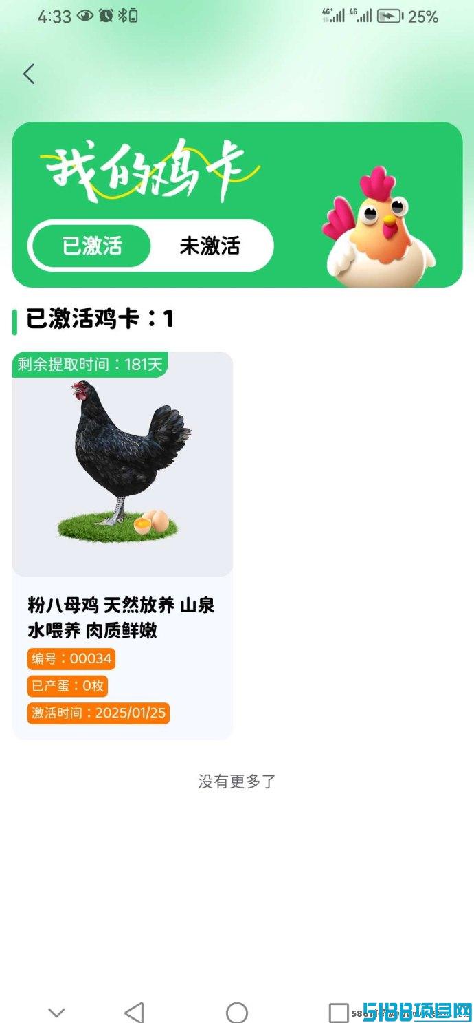 2025最新养鸡赚钱玩法，全新模式助你开启稳定副业！