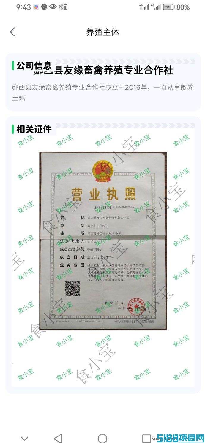 食小宝养鸡赚钱新机遇，购咔送15个鸡蛋，秒变赚钱达人！