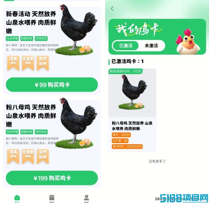 食小宝养鸡赚钱新机遇，购咔送15个鸡蛋，秒变赚钱达人！