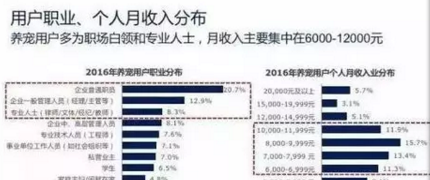 零成本宠物聚会偏门生意照样赚大钱