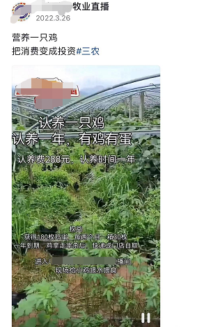 年入百万的县城闷声发财偏门小生意