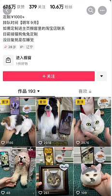 高利润赚钱的偏门项目之宠物羊毛毡手工艺品