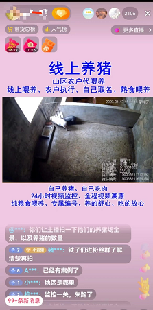 月入5万的暴利偏门项目之抖音云养猪