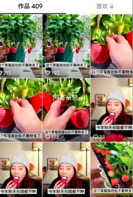 日赚400的短视频垂直操作卖货冷门项目