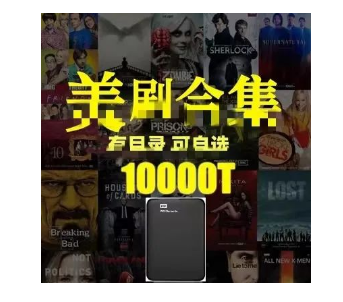 月入万元的小红书经典美剧偏门项目