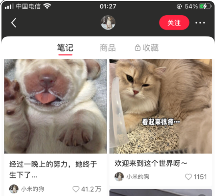 月入过万的宠物赛道副业项目