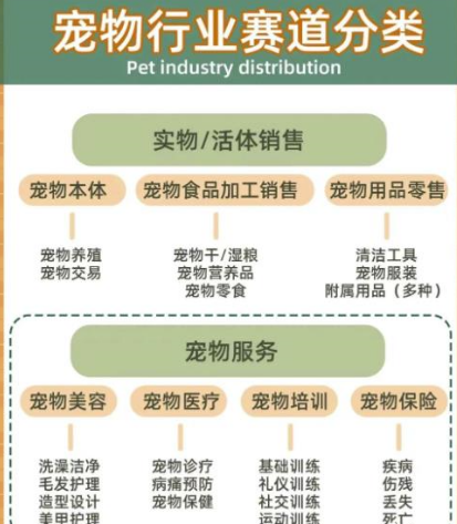 月入过万的宠物赛道副业项目