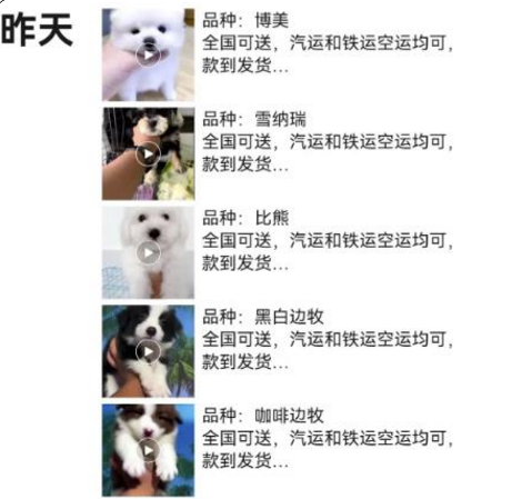 月入过万的宠物赛道副业项目