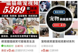 一个月变现3万的偏门赛道之萌宠搞笑视频