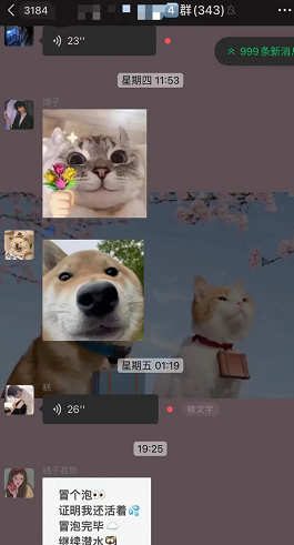 打造唱歌9.9块付费群，轻松日赚800