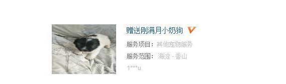揭秘月入十万的灰产项目