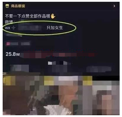 揭秘灰色项目另类暴利收割玩法