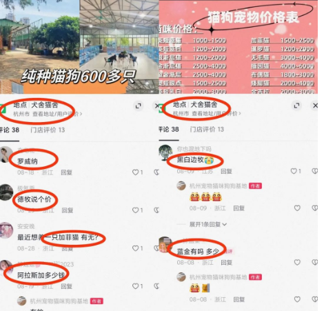 长期可赚钱的偏门暴利项目，月入20000+