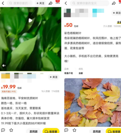 无本万利的冷门暴利项目，卖树叶日入300+