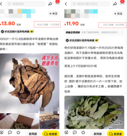 无本万利的冷门暴利项目，卖树叶日入300+