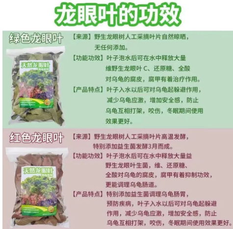 无本万利的冷门暴利项目，卖树叶日入300+