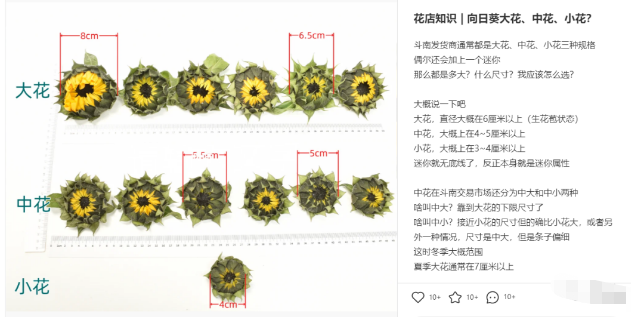 高考期间红利副业暴利项目,2天能赚3000+