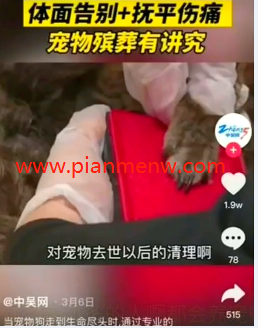 阳光合法单笔利润上千的偏门生意
